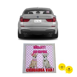 Arabada Chihuahua Var !
