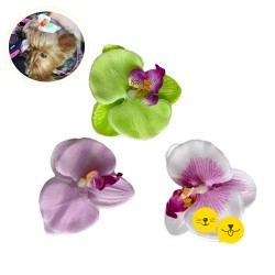 Orkide Toka