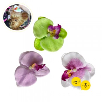 Orkide Toka