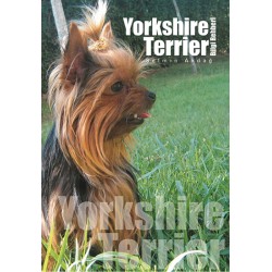 Yorkshire Terrier Bilgi Rehberi